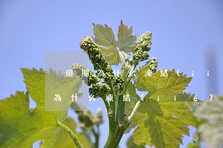 沒逾期為什么凍結(jié)信用卡(沒逾期為什么凍結(jié)信用卡賬戶)