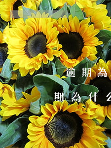 沒逾期為什么接不了網(wǎng)貸(沒逾期為什么接不了網(wǎng)貸)
