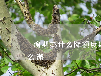 沒逾期為什么降額度（無逾期信用卡降額度怎么辦）
