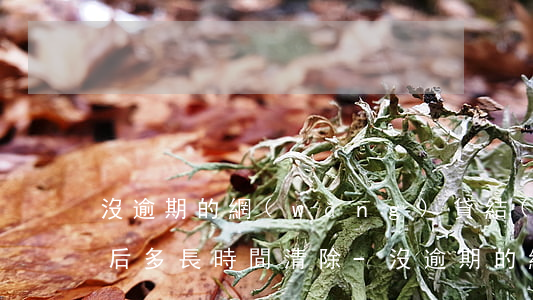 沒逾期的網(wǎng)貸結(jié)清后多長時間清除-沒逾期的網(wǎng)貸結(jié)清后多長時間清除記錄