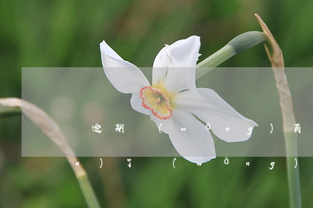 沒逾期網(wǎng)商貸怎么關(guān)了(網(wǎng)商貸從來沒逾期過,為什么現(xiàn)在沒額度了)
