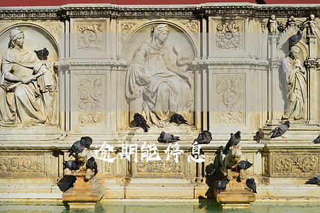 沒逾期能停息掛賬嗎(還沒逾期可以申請停息掛賬嗎)