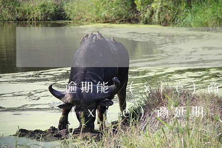 沒逾期能協(xié)商延期嗎-沒逾期能協(xié)商延期嗎