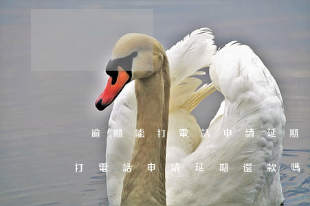 沒逾期能打電話申請延期還款嗎-沒逾期能打電話申請延期還款嗎怎么辦