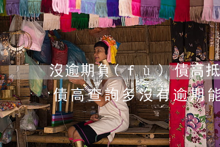 沒逾期負(fù)債高抵押貸款(負(fù)債高,查詢多,沒有逾期能抵押貸款嗎)