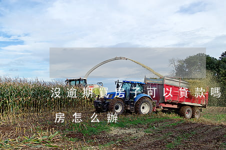 沒逾期買房子可以貸款嗎(有逾期不能貸款買房怎么辦)