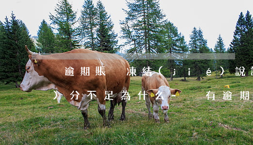 沒逾期賬戶凍結(jié)說評(píng)分不足為什么-沒有逾期為什么說賬戶已凍結(jié)