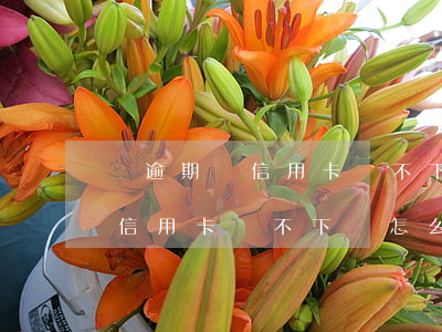 沒逾期過信用卡辦不下來怎么辦-沒逾期過信用卡辦不下來怎么辦呢