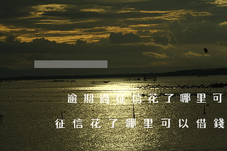 沒逾期過征信花了哪里可以借錢-沒逾期過征信花了哪里可以借錢呢