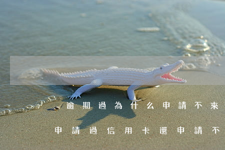 沒逾期過為什么申請不來信用卡(為什么沒有申請過信用卡,還申請不過)