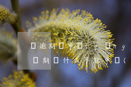 沒逾期過申請(qǐng)信用卡拒絕(沒逾過期為什么不能申請(qǐng)信用卡)