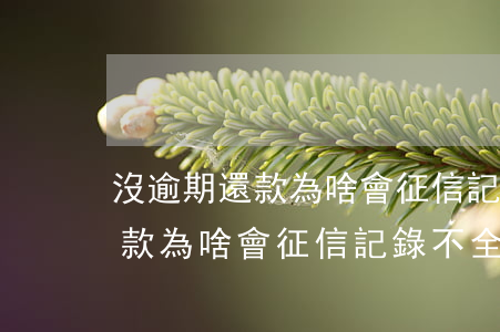 沒逾期還款為啥會征信記錄不全-沒逾期還款為啥會征信記錄不全呢