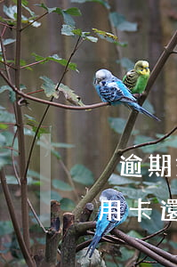 沒逾期銀行把我信用卡停了（逾期過長停用信用卡還能停息嗎）