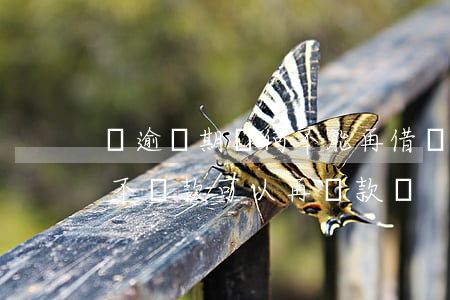 沒逾過期為何不能再借貸款了（借款主體逾期不還款可以再貸款嗎）
