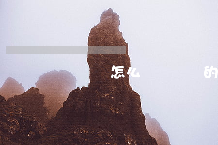 沒錢應該怎么辦(當沒錢的時候怎么辦)