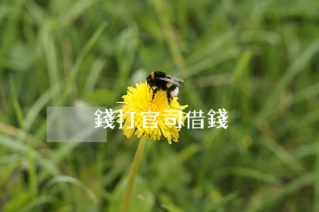 沒錢打官司借錢