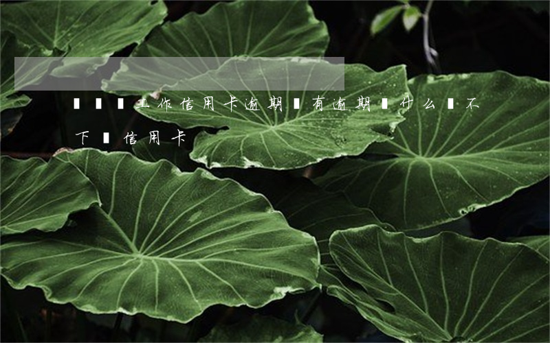 沒錢沒工作信用卡逾期(沒有逾期為什么辦不下來信用卡)