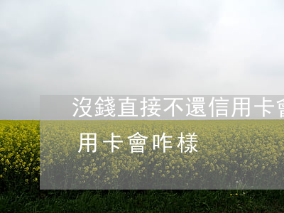 沒錢直接不還信用卡會咋樣(沒錢直接不還信用卡會咋樣)