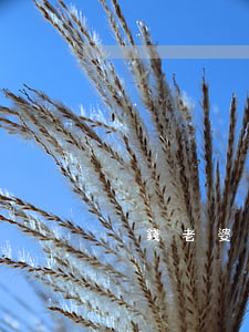 沒錢老婆要離婚的說說(沒錢了老婆就要離婚)