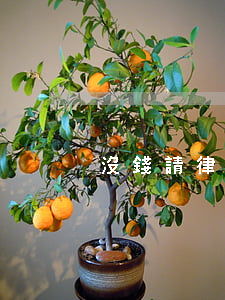 沒錢請律師怎么申請法律援助