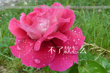 沒錢還不了款怎么辦-沒錢還不了錢怎么辦