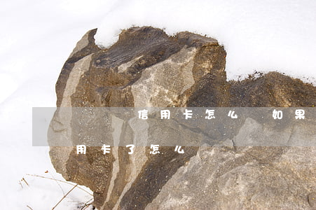 沒錢還信用卡怎么辦(如果沒有錢還貸款和信用卡了怎么辦)