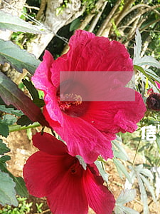 沒錢還信用卡怎么辦(沒錢還信用卡怎么辦?)