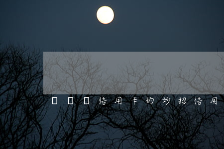沒錢還信用卡的妙招(信用卡錢不用還絕招)