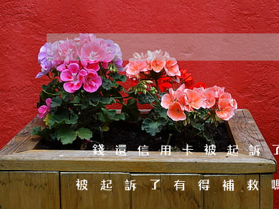 沒錢還信用卡被起訴了怎么辦(信用卡沒還款被起訴了有得補救嗎)