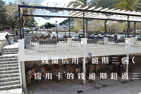 沒錢還信用卡逾期三個(gè)月怎么辦 欠信用卡的錢逾期超過三個(gè)月