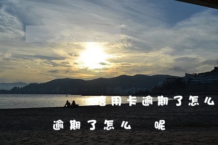 沒錢還信用卡逾期了怎么辦-沒錢還信用卡逾期了怎么辦呢