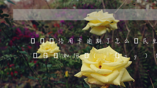 沒錢還信用卡逾期了怎么辦（民生信用卡逾期沒錢還如何應(yīng)付）