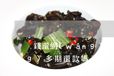 沒錢還網(wǎng)貸可以申請(qǐng)多期還款嗎-沒錢還網(wǎng)貸可以申請(qǐng)多期還款嗎知乎