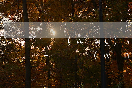 沒錢還網(wǎng)貸會(huì)起訴嗎-沒錢還網(wǎng)貸有什么后果