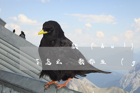 沒錢還貸款會(huì)坐牢嗎(沒錢還貸款了怎么辦?教你五個(gè)小技巧)