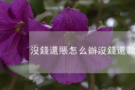 沒錢還賬怎么辦(沒錢還款怎么辦求助)