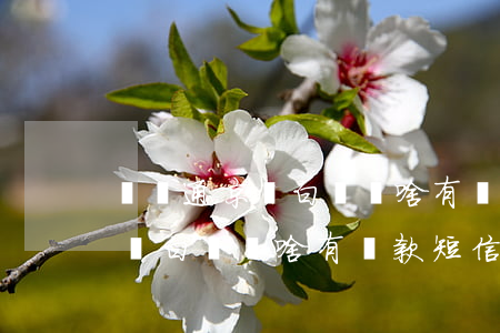 沒開通京東白條為啥有還款短信-沒開通京東白條為啥有還款短信通知