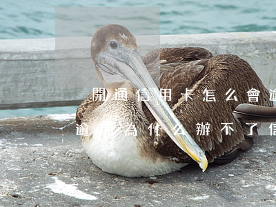 沒開通信用卡怎么會逾期(有很多信用卡沒有逾期為什么辦不了信用卡)