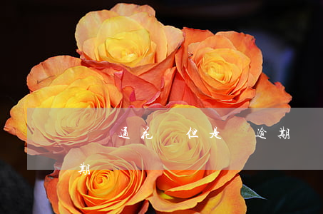 沒開通花唄但是說逾期(沒開通花唄但是說逾期)