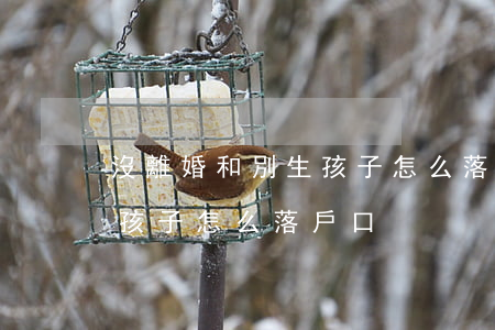 沒離婚和別生孩子怎么落戶口(離婚以后生的孩子怎么落戶口)