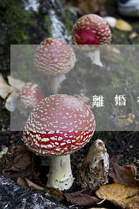 沒離婚有了孩子怎么辦