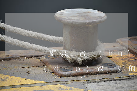 沒離婚第三者會(huì)被起訴嗎(第三者導(dǎo)致離婚的,可以起訴第三者嗎)