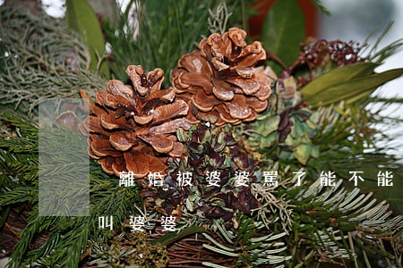 沒離婚被婆婆罵了能不能起訴(離婚了該怎么叫婆婆)