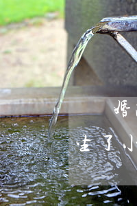 沒離婚跟別人生了孩子算重婚罪嗎(沒有離婚生了小孩是不是重婚罪)