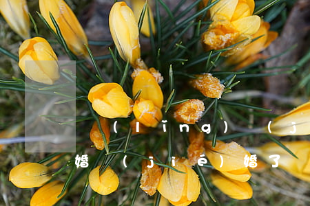 沒領(lǐng)結(jié)婚證怎么離婚(結(jié)婚了沒領(lǐng)結(jié)婚證怎么離婚)