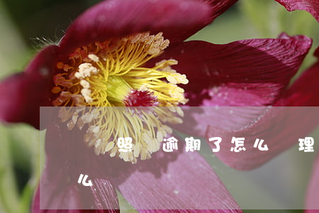 沒駕照車逾期了怎么辦理（沒駕照車逾期了怎么辦）