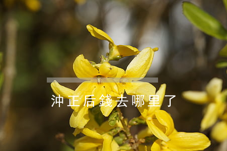 沖正后錢去哪里了