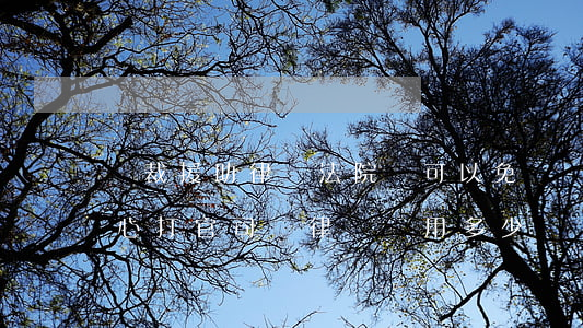 沖裁援助律師法院還可以免費嗎(法律援助中心打官司請律師費用多少)