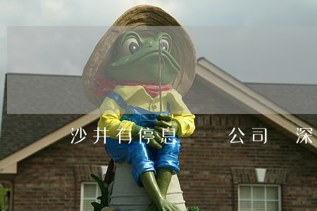 沙井有停息掛賬公司嗎(深圳沙井支行電話)