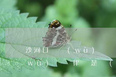 沙河口債務(wù)糾紛律師(沙河口債務(wù)糾紛律師是誰(shuí))